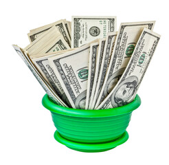 Wall Mural - Money dollar grows in a flowerpot isolated. png transparent