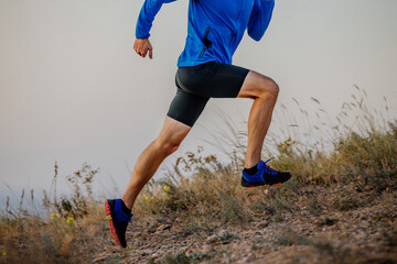 Wall Mural - legs male runner running on mountain trail