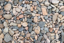 Detail Of The Various Sea Pebbles - Gravel Stones