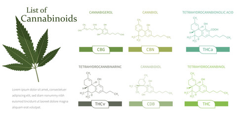 List of cannabinoids. Chemical formulas of natural cannabinoids isolated on white background.