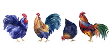 Watercolor Farm Chickens Illustrations, Easter Illustrations, Easter Eggs, Barn 