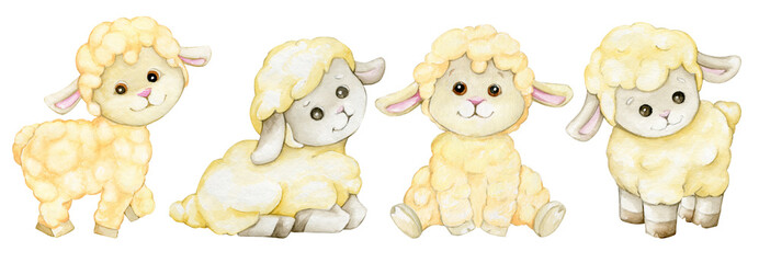 Cute lambs in cartoon style, but isolated background. Watercolor illustration of animals.