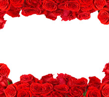 Frame Made Of Red Roses Isolated. PNG Transparency