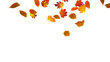Leinwandbild Motiv autumn colored fall leaf isolated on transparent background overlay texture
