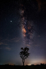 Wall Mural - shot of blue night sky milky way,star and tree on dark background.universe filled with stars, nebula