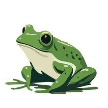 Frog. Simple Vector Graphics Consisting Of Few Colors.