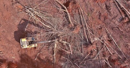 Wall Mural - Using tractor to get trees uprooted workers prepare land for construction by removing trees