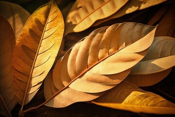 Canvas Print - yellowed and dried out mango leaves from the midday sun. Background of dried leaves. Extreme closeup. Generative AI