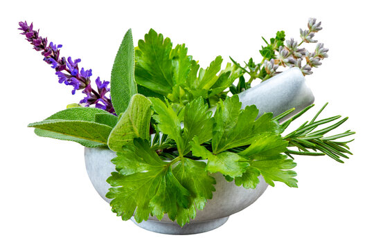 Fototapete - kitchen herbs isolated over white background