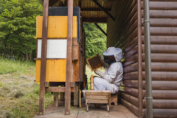 Wall Mural - Male beekeeper carefully taking out the honey frame from a wooden beehive, checking bees and honeycomb Beekeeping and organic honey farming concept.