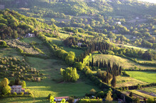 Hillside With Tree Borders In Orvieto Umbria Italy