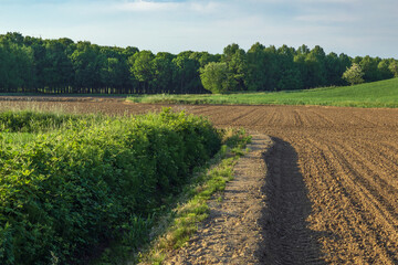 Wall Mural - Scorci della campagna Novarese, Novara Piemonte