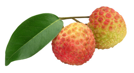 Sticker - Lychee with green leaf