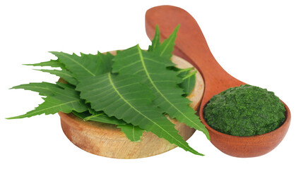 Poster - Medicinal neem leaves with ground paste