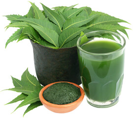 Poster - Medicinal neem leaves with extract and ground paste