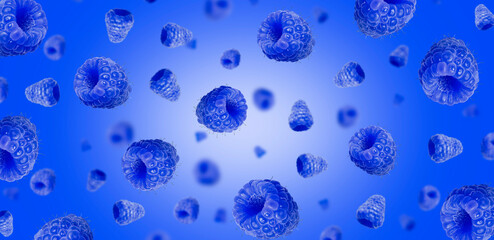 falling blue raspberries on blue gradient background. levitating raspberries