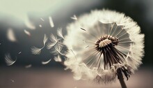 Beautiful White Dandelion Blown Away By The Wind, Dramatic Lighting. Photorealistic Generative Art