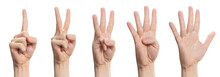 Hands Set Showing Number Signs From 1 To 5, Cut Out
