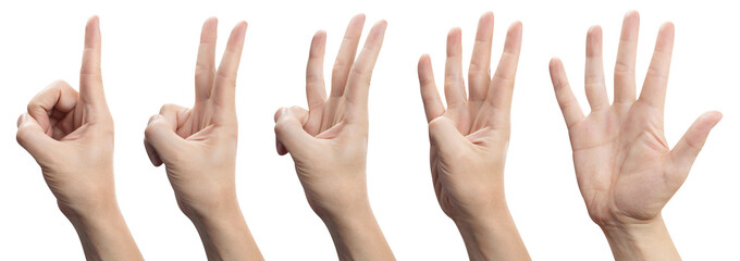Hands set showing number signs from 1 to 5, cut out