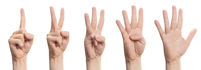 hands set showing number signs from 1 to 5, cut out
