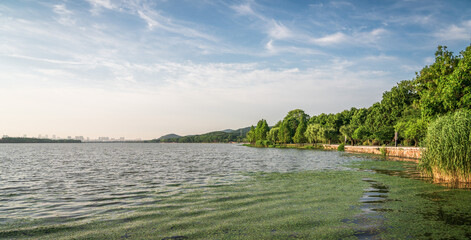 Canvas Print - Beautiful city park with lake, trees and mountains