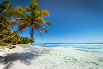 Canvas Print - Boats and tropical beach in caribbean sea, Saona island, Dominican Republic