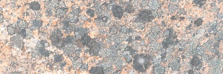 natural texture of a stone covered with lichen. lichenes patterns on a rock surface. natural backgro