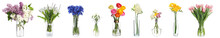 Collage With Many Beautiful Flowers In Glass Vases On White Background
