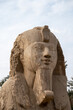 Close up Photo of a face of a sphinx