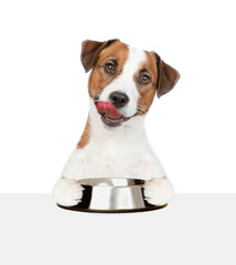 Poster - Licking Jack russell terrier puppy holding empty bowl above empty white banner. isolated on white background