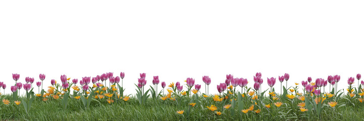 Wall Mural - Field of flowers and grass cut out on transparent background 3d rendering png