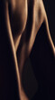 © Mia B/peopleimages.com - Nude, back and silhouette, woman and sexy with dark aesthetic, art with skin and sensual on black background. Body, beauty and creative with seduction, cosmetics and naked female with sexuality