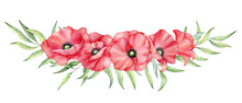 Watercolor Red Poppies Bouquet, Hand Drawn Floral Illustration, Red Wildflowers Isolated On A White Background.