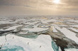 © Cavan Images - fleecy sky and glaucous gulls, Larus Glaucoides, Spitzbergen, Svalbard