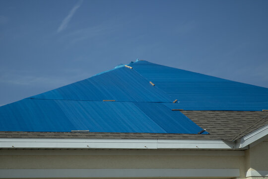 tarp over the roof