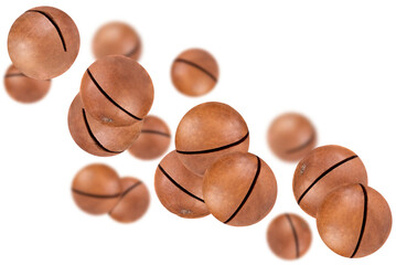 Wall Mural - Levitation of macadamia nuts isolated on a transparent background.