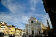 Santa croce church. Piazza Santa Croce in Florence. Church facade with olive trees. 