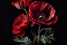 Red Poppies On A Dark Background. Generative Ai