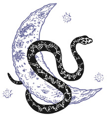 Vector abstract magic illustration with celestial snake, moon and stars. Mystical witchy symbol. Boho trendy esoteric serpent symbol for poster print, fashion, fabric, textile, paper, tattoo. Isolated