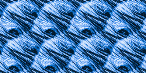  Peacock Bird. Indigo Watercolor Animal Prints.