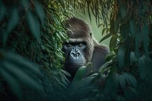 Picture Of A Large Gorilla In The Bushes Is Quite Breathtaking. Generative AI