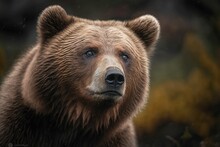 Brown Bear Portrait Generative AI