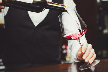 Close-up photo, sommelier pours red wine to glass on bar counter background.