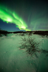 imagen de una aurora boreal en el cielo nocturno de islandia, con montañas al fondo, el paisaje neva