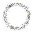 Lavender wreath design. Lavender frame. Vector colorful illustration