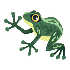 Wall Mural - green frog exotic animal