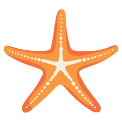 Poster - exotic starfish sealife