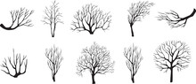 Naked Trees Silhouettes Set. Hand Drawn Isolated Illustrations. Vector Trees Background. Set Of Vector Tree Illustrations