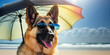 German shepherd wearing sunglasses on the beach under an beach parasol
