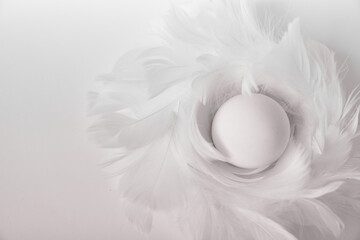 White Easter egg in a nest of white feathers from above